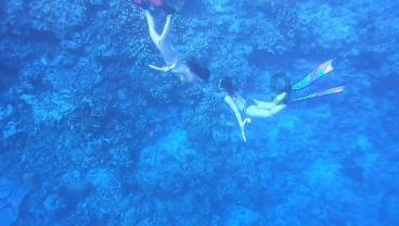 夏之许诺