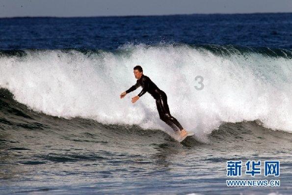 小长颈鹿逃离